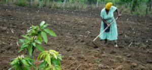 Membangun Kemandirian Pangan Petani di Eswatini