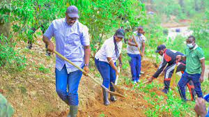 Model Sukses Rwanda Peningkatan Sektor Pertanian Afrika